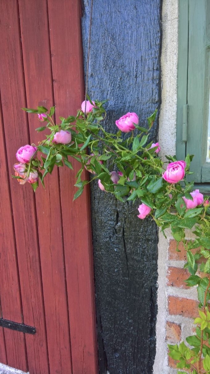 Det finns många vackra detaljer...